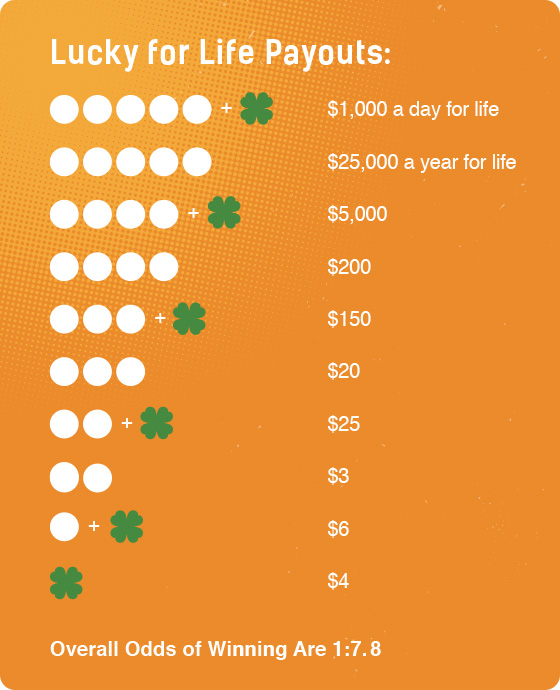 winning numbers for the lucky day lotto for today please